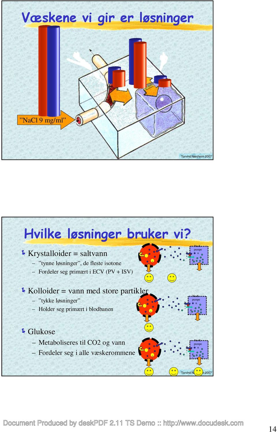 l b N a Na-Kpumpe n K Kolloider = vann med store partikler tykke løsninger Holder seg primært i