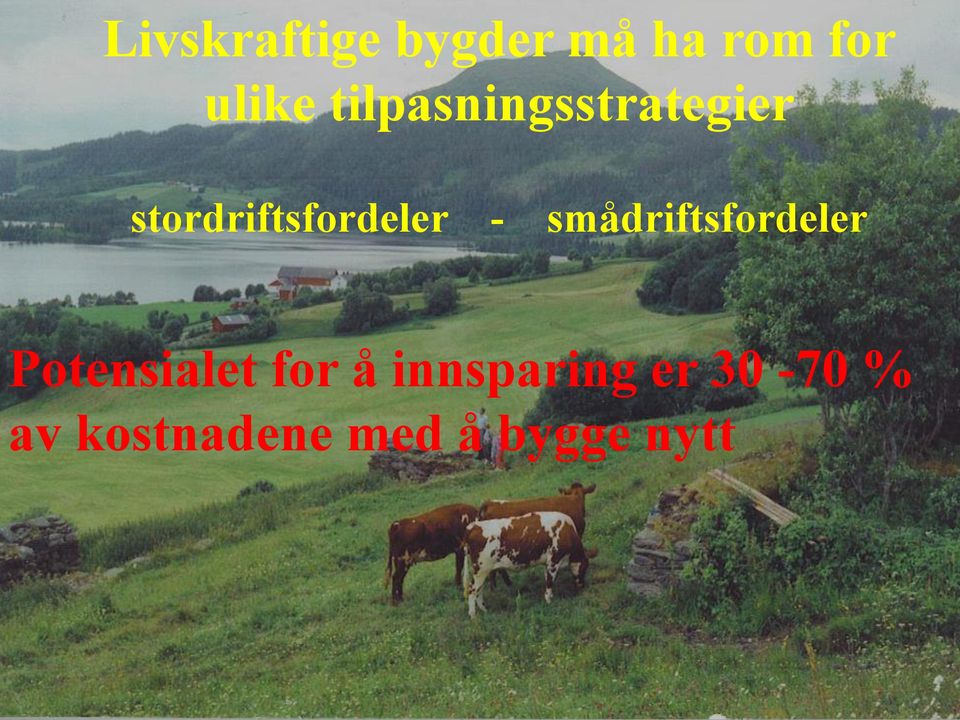 smådriftsfordeler Potensialet for å