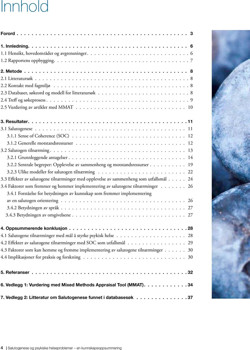 ...................................... 9 2.5 Vurdering av artikler med MMAT.............................. 10 3. Resultater 11 3.1 Salutogenese......................................... 11 3.1.1 Sense of Coherence (SOC).