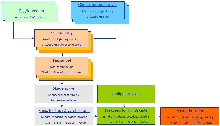 Eksponeringen er et resultat av andel larver som overlapper vannsøylekonsentrasjoner (både løste konsentrasjoner og oljedråper i vannet) over gitte effektgrenser som kan gi dødelighet eller redusert