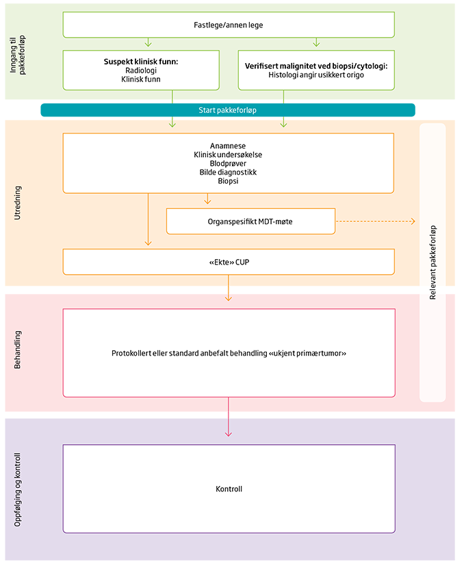2 Inngang til pakkeforløp for metastaser med ukjent utgangspunkt 2.