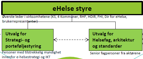 Skates organisering av eget arbeid Skate bør konkretisere hvordan Skates eget arbeid skal organiseres, herunder implementeringen av Skates styringssystem.