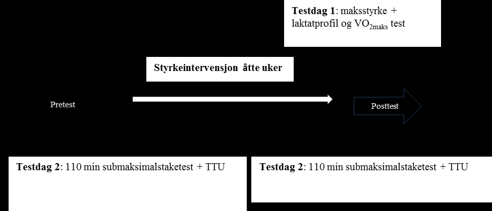 Figur 1 Oversikt over forløpet i intervensjonsstudien. TTU = tid til utmattelse. 4.3 Treningsintervensjon STR utførte en åtte ukers styrketreningsintervensjon.