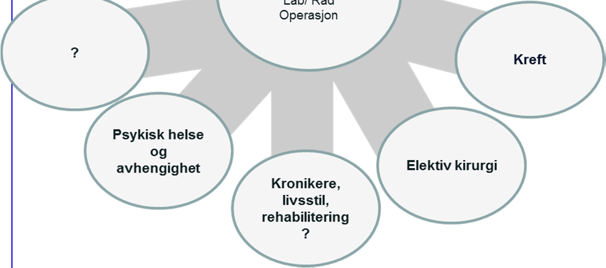 Definere alternative virksomhetsmodeller Alt 3: Klyngemodell Autonome, organisatorisk og fysisk adskilte enheter av