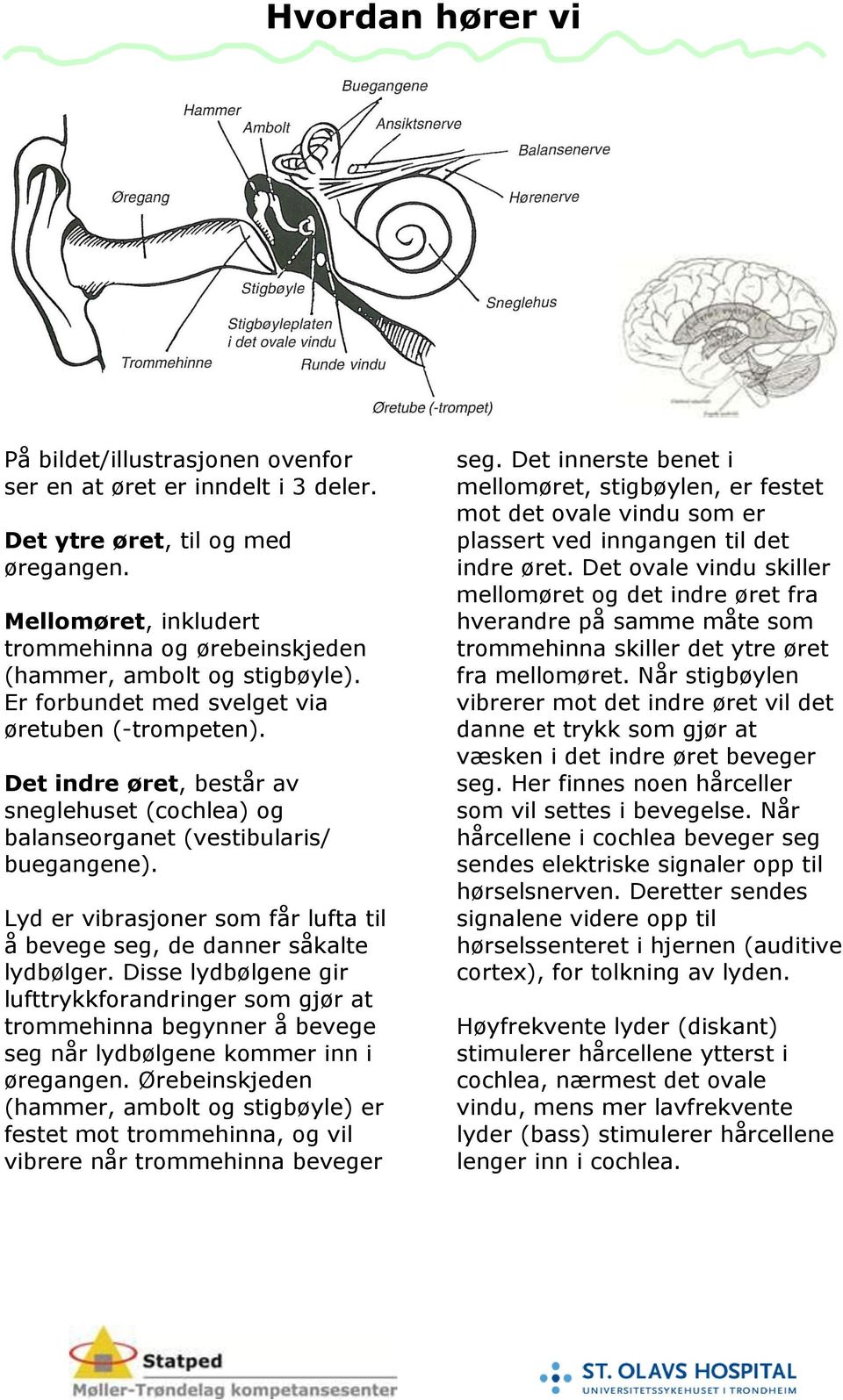 Det indre øret, består av sneglehuset (cochlea) og balanseorganet (vestibularis/ buegangene). Lyd er vibrasjoner som får lufta til å bevege seg, de danner såkalte lydbølger.