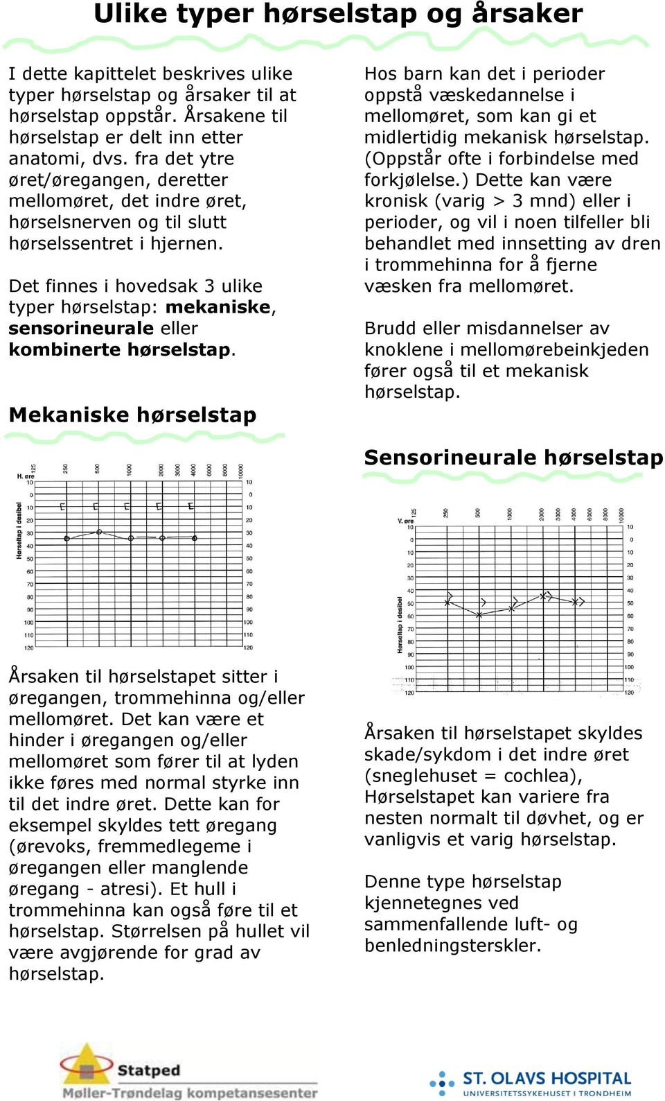 Det finnes i hovedsak 3 ulike typer hørselstap: mekaniske, sensorineurale eller kombinerte hørselstap.