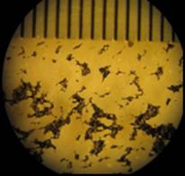 Figur 12.13 NTNU Mikroskopbilde av slitasjepartikler fra bremsende bildekk. Foto: Alex K. Paste, 12.3.4 Adhesjon Den tredje mekanismen i samspillet gummi-vegoverflate som skaper friksjon kalles adhesjon.