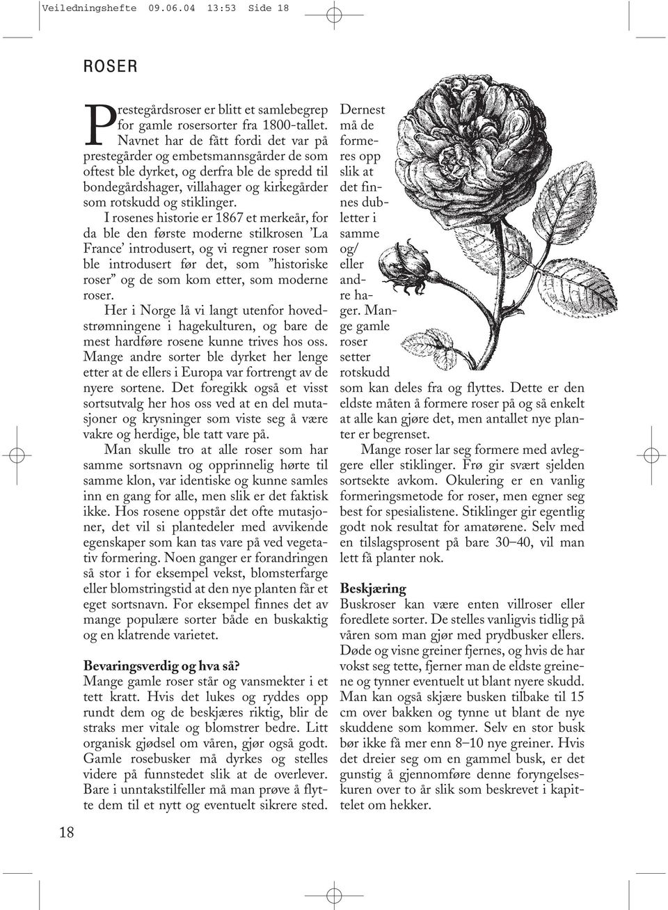 I rosenes historie er 1867 et merkeår, for da ble den første moderne stilkrosen La France introdusert, og vi regner roser som ble introdusert før det, som historiske roser og de som kom etter, som