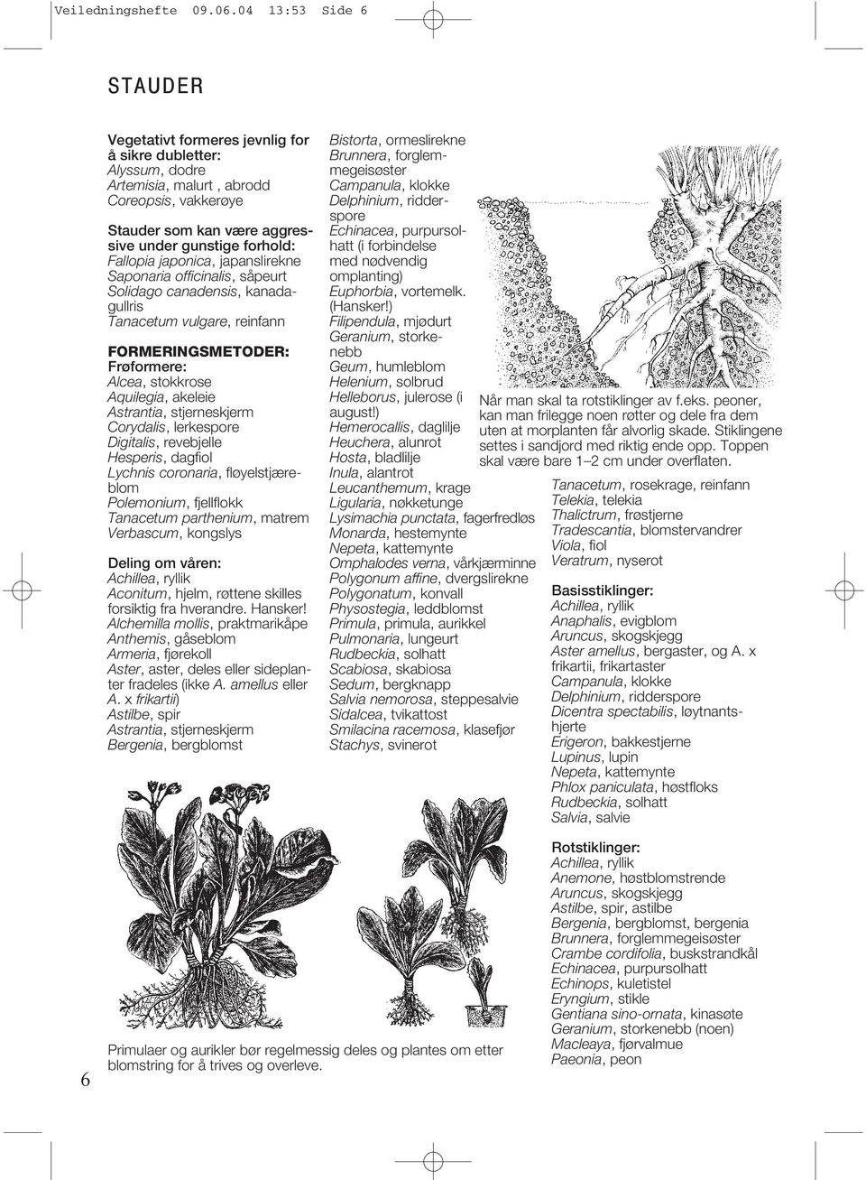 Fallopia japonica, japanslirekne Saponaria officinalis, såpeurt Solidago canadensis, kanadagullris Tanacetum vulgare, reinfann FORMERINGSMETODER: Frøformere: Alcea, stokkrose Aquilegia, akeleie