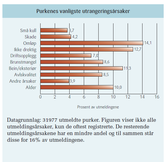 Figur 7: Purkas vanligste utrangeringsårsaker In-Gris, (2012). Utrangering som kan knyttes til brunstproblemer er omløp, ikke drektig og brunstmangel.