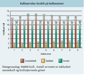 Levetiden for avlsdyr avhenger av holdbarhet og god reproduksjon. Som en kan se av figur 12, ser vi at fordelingen av kull på kullnummer sier noe om hvor viktig det er å rekruttere avlsdyr.