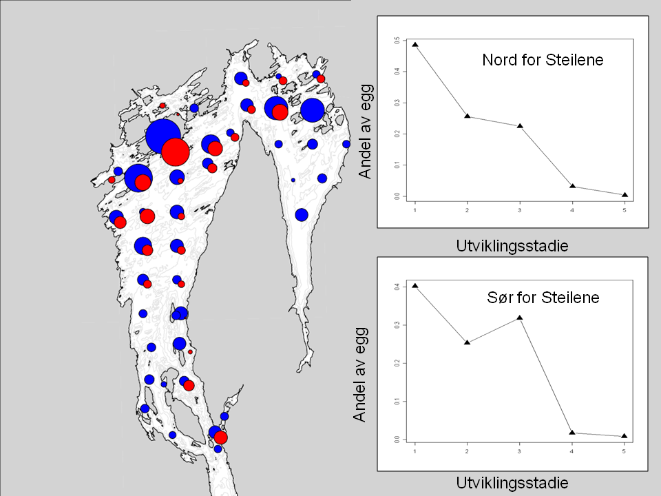 Figur 99. Forekomst av Torskeegg i Indre Oslofjord. Sirklene er skalert i forhold til mengden av egg på hver stasjon.