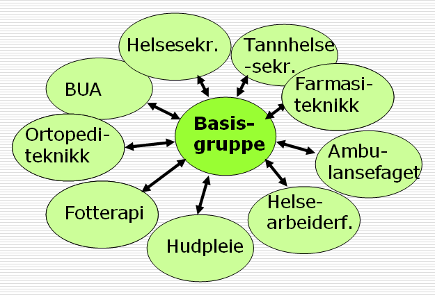 Funn ulik læreplantolkning 1 og 2: Yrkesorientering : Elevene må lære mange/ alle lærefag og mange elever må arbeide med lærefag de ikke vil utdanne seg til 4.