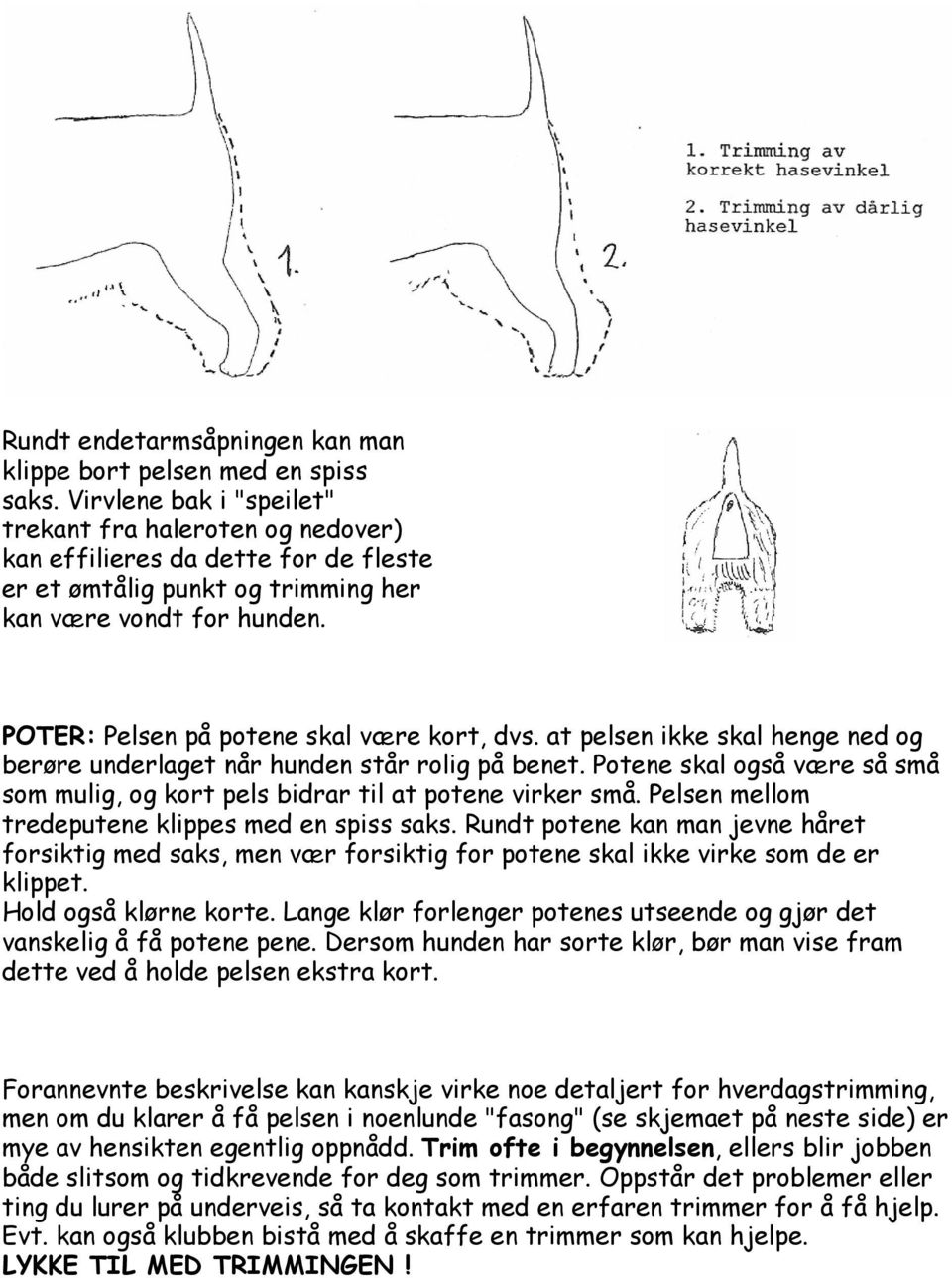 POTER: Pelsen på potene skal være kort, dvs. at pelsen ikke skal henge ned og berøre underlaget når hunden står rolig på benet.