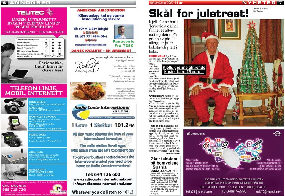 .. - Jeg fant ut at dette var lettest å sette opp. Og ikke minst ta ned. Det er jo alltid et problem å få ryddet treet ut etter endt julefeiring.