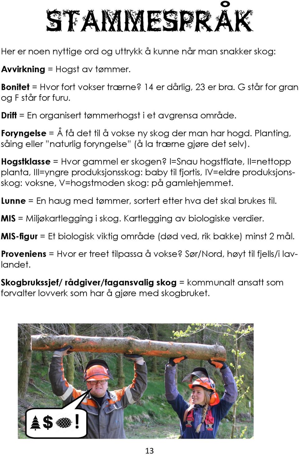 Planting, såing eller naturlig foryngelse (å la trærne gjøre det selv). Hogstklasse = Hvor gammel er skogen?