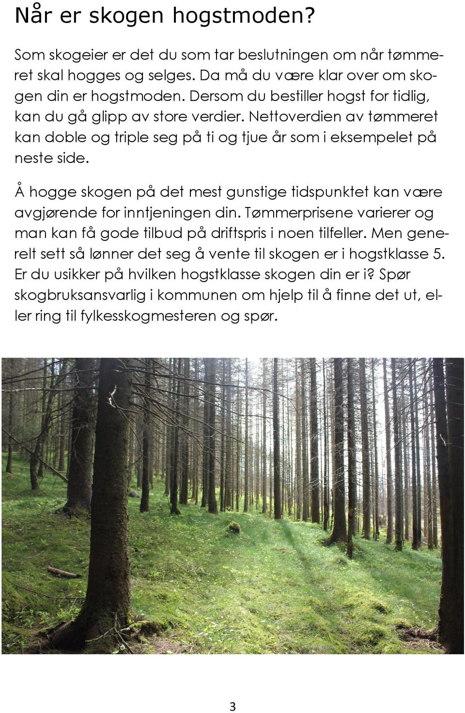 Å hogge skogen på det mest gunstige tidspunktet kan være avgjørende for inntjeningen din. Tømmerprisene varierer og man kan få gode tilbud på driftspris i noen tilfeller.