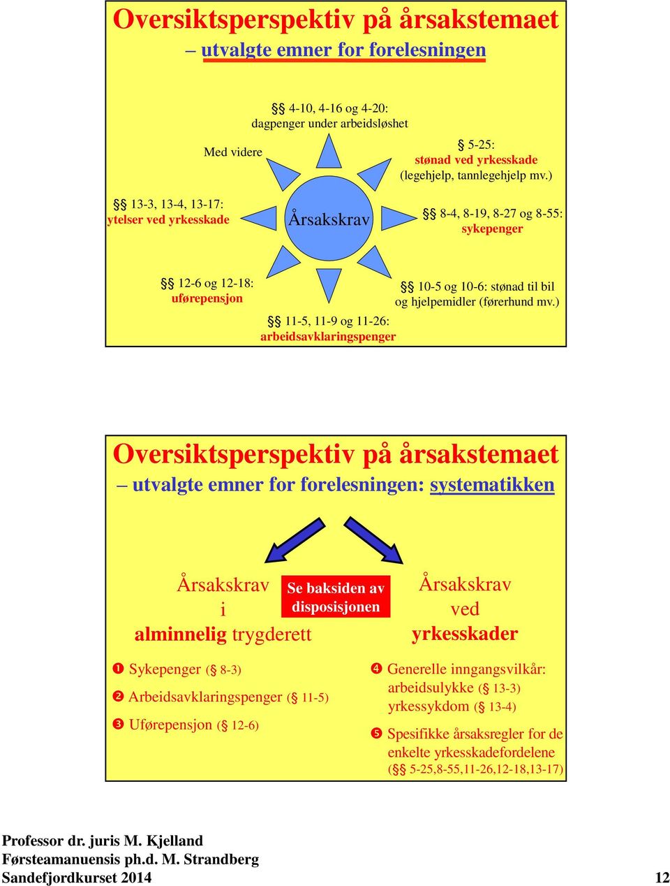 hjelpemidler (førerhund mv.