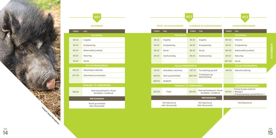 praktisk 85 (3) Samfunnsfag 85 (3) Samfunnsfag 84 (3) Naturfag NATURBRUK 56 (2) Norsk - - - - 281 (10) Norsk FELLES PROGRAMFAG: FELLES PROGRAMFAG: FELLES PROGRAMFAG: 140 (5) Naturbasert aktivitet 337