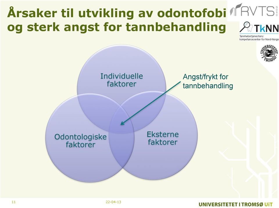 Individuelle faktorer Angst/frykt for