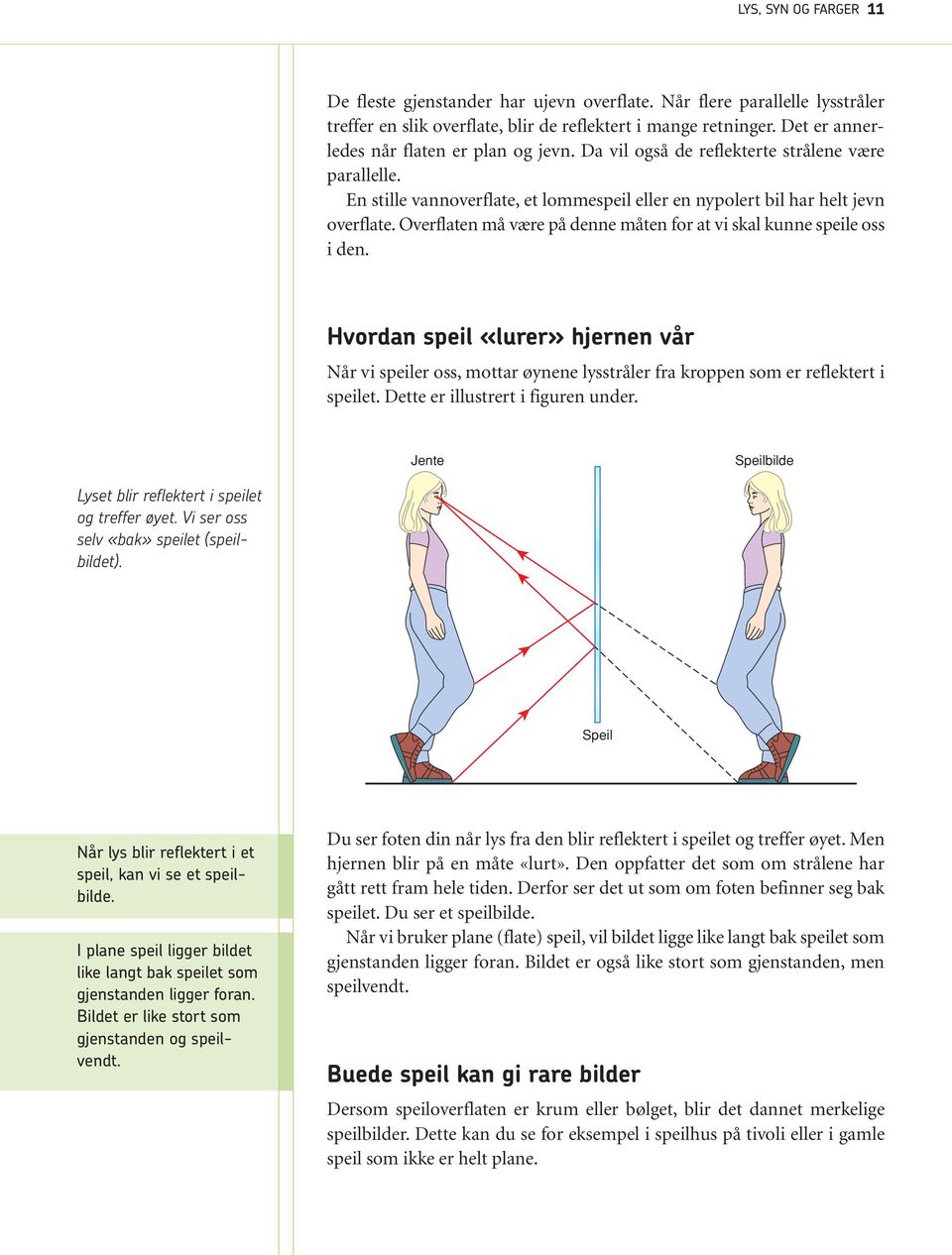 Overflaten må være på denne måten for at vi skal kunne speile oss i den. Hvordan speil «lurer» hjernen vår Når vi speiler oss, mottar øynene lysstråler fra kroppen som er reflektert i speilet.