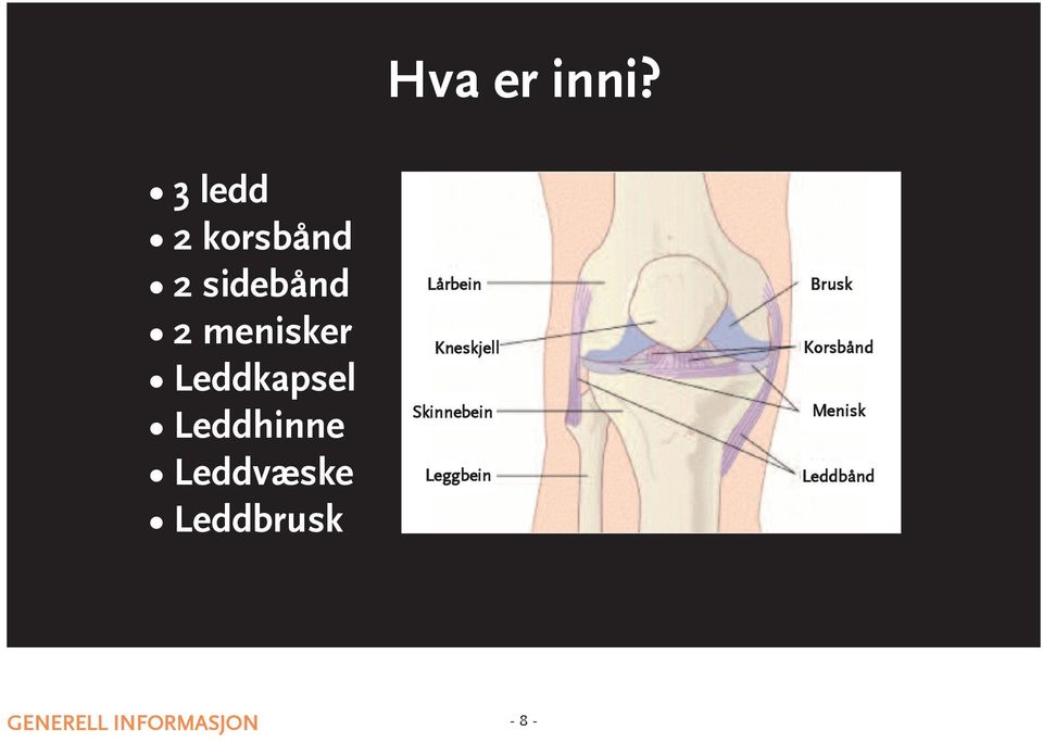 inni? lårbein Kneskjell skinnebein leggbein