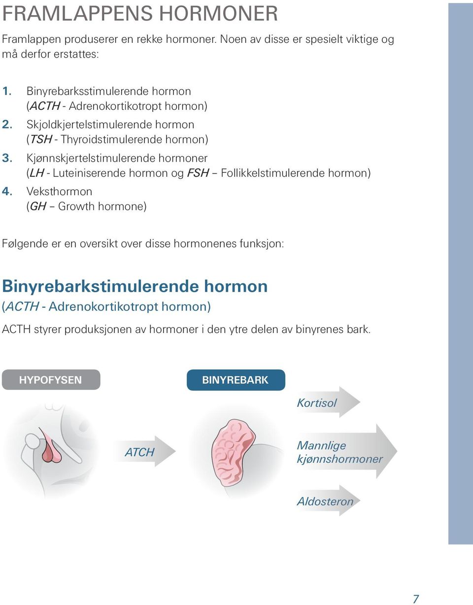 Kjønnskjertelstimulerende hormoner (LH - Luteiniserende hormon og FSH Follikkelstimulerende hormon) 4.