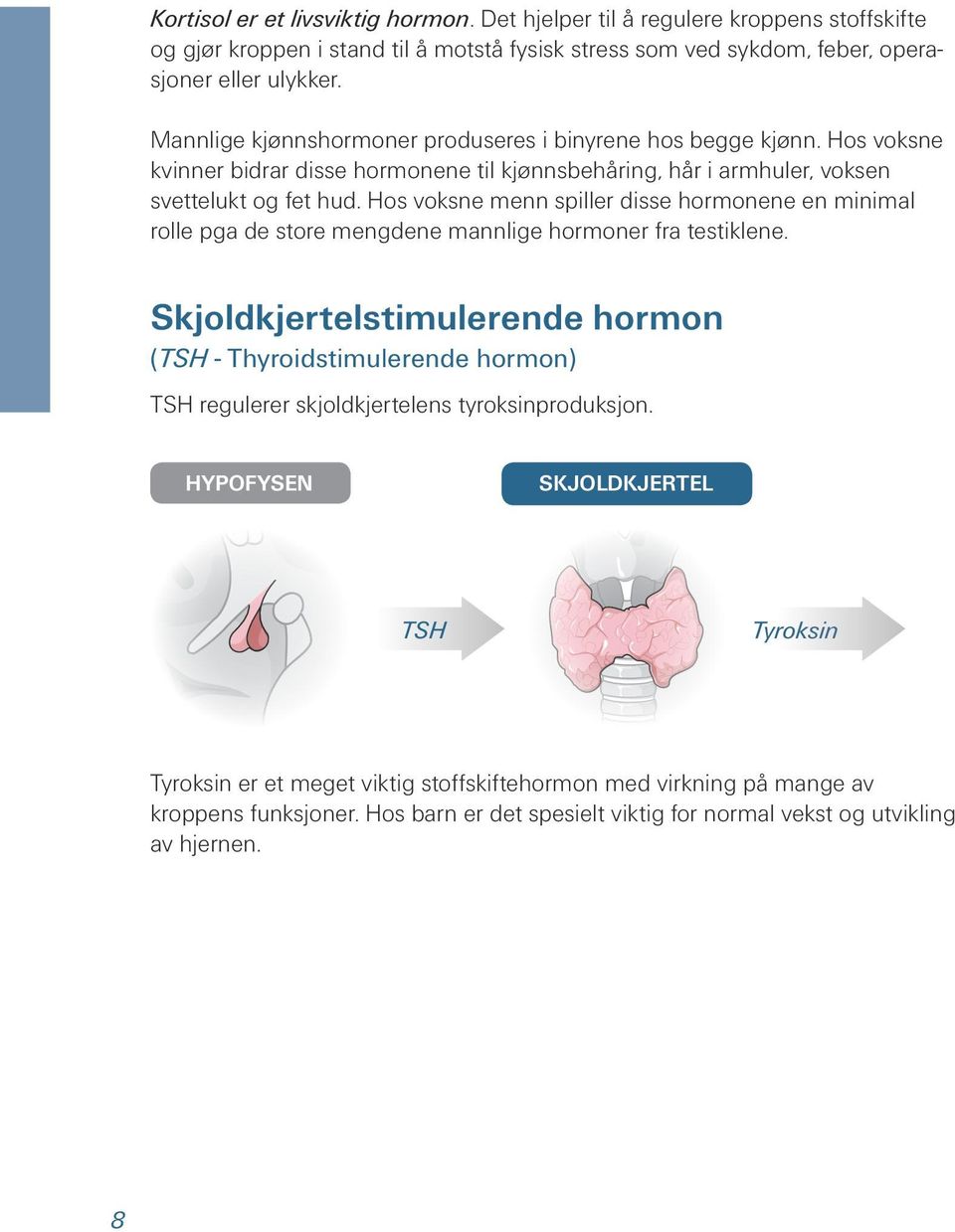 Hos voksne menn spiller disse hormonene en minimal rolle pga de store mengdene mannlige hormoner fra testiklene.