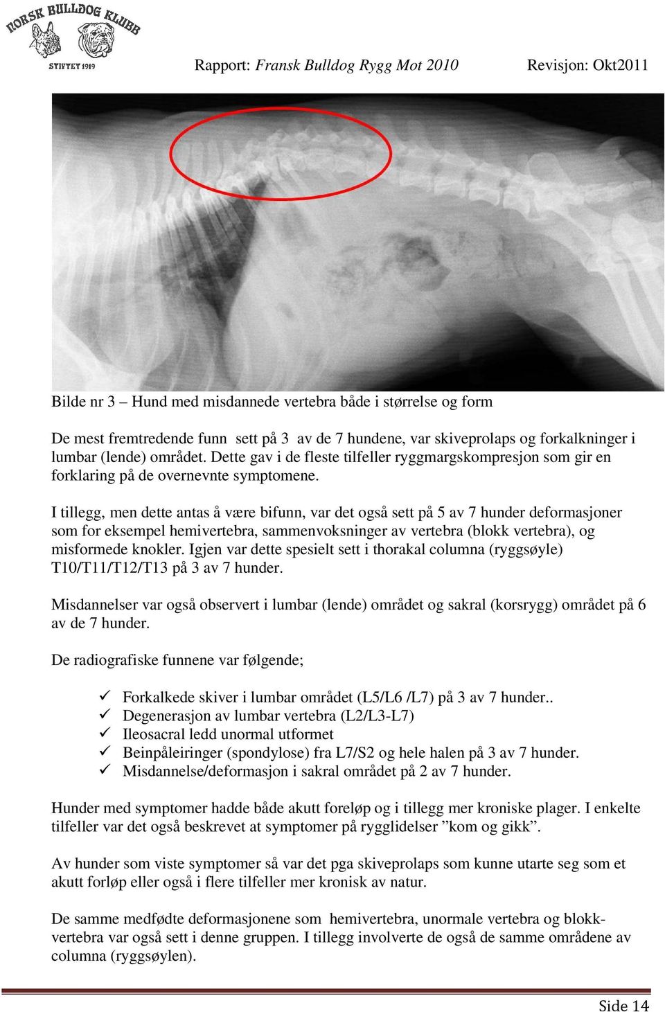 I tillegg, men dette antas å være bifunn, var det også sett på 5 av 7 hunder deformasjoner som for eksempel hemivertebra, sammenvoksninger av vertebra (blokk vertebra), og misformede knokler.