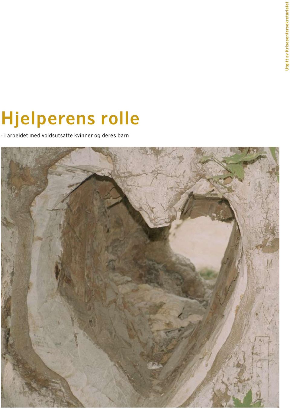 Hjelperens rolle - i