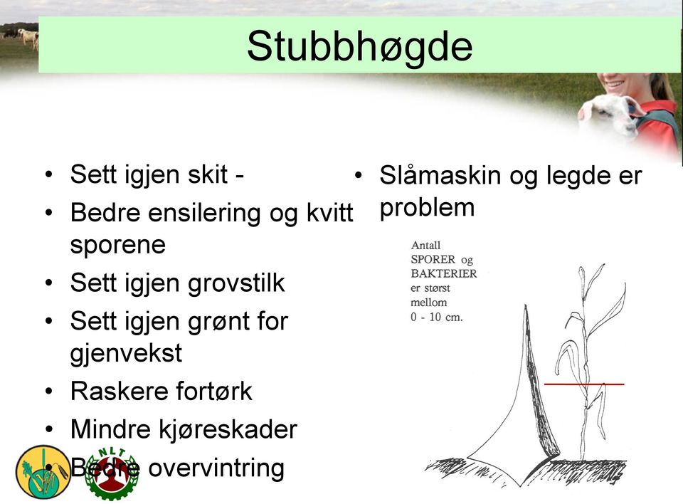 grønt for gjenvekst Raskere fortørk Mindre