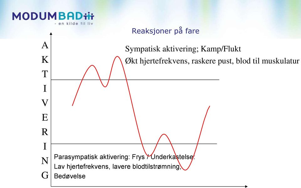 blod til muskulatur Parasympatisk aktivering: Frys /