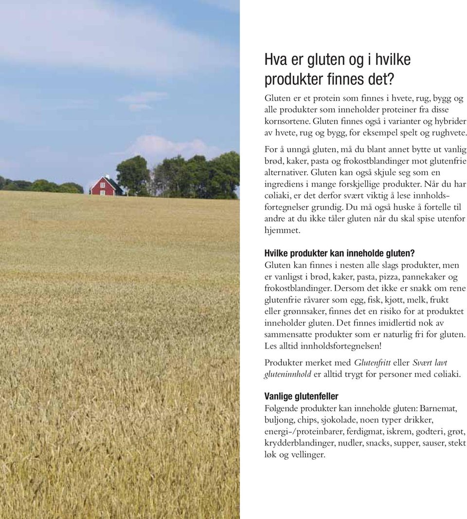 For å unngå gluten, må du blant annet bytte ut vanlig brød, kaker, pasta og frokostblandinger mot glutenfrie alternativer. Gluten kan også skjule seg som en ingrediens i mange forskjellige produkter.