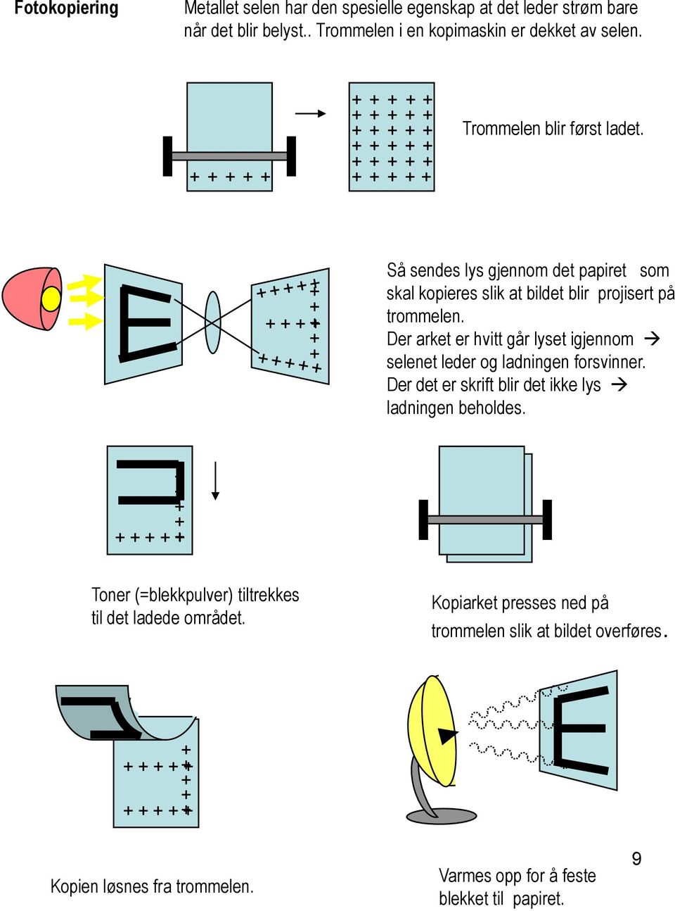 + + + + Så sendes lys gjennom det papiret som skal kopieres slik at bildet blir projisert på trommelen. Der arket er hvitt går lyset igjennom selenet leder og ladningen forsvinner.