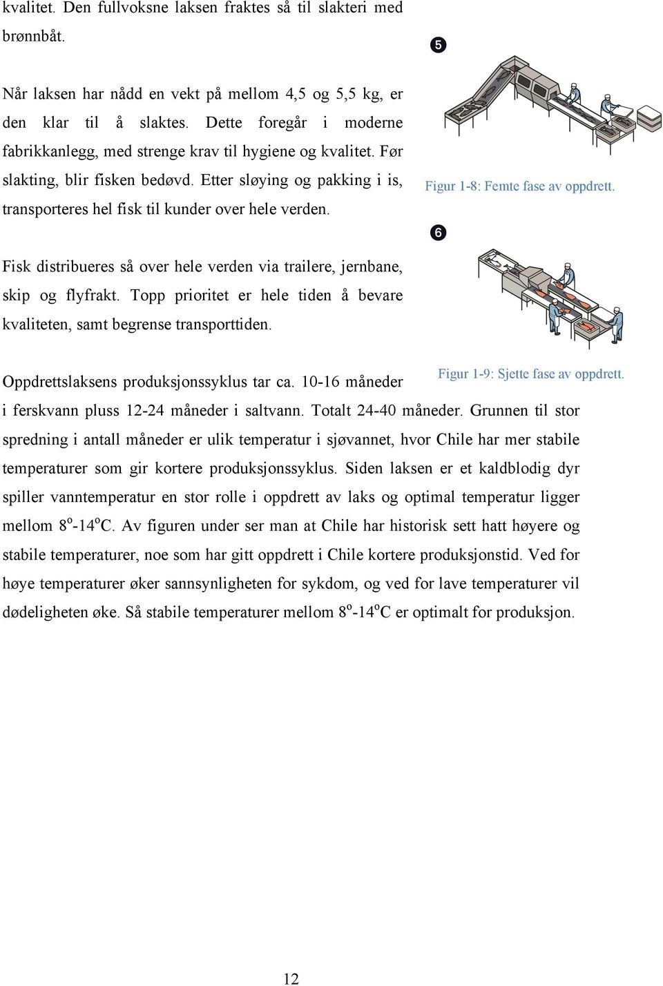 Figur 1-8: Femte fase av oppdrett. Fisk distribueres så over hele verden via trailere, jernbane, skip og flyfrakt. Topp prioritet er hele tiden å bevare kvaliteten, samt begrense transporttiden.