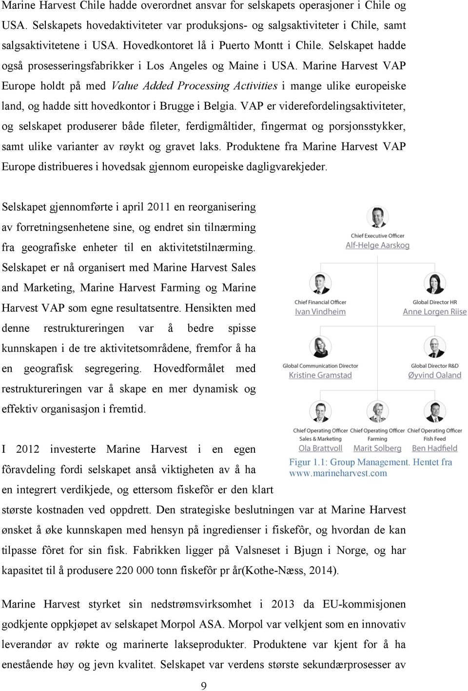 Marine Harvest VAP Europe holdt på med Value Added Processing Activities i mange ulike europeiske land, og hadde sitt hovedkontor i Brugge i Belgia.