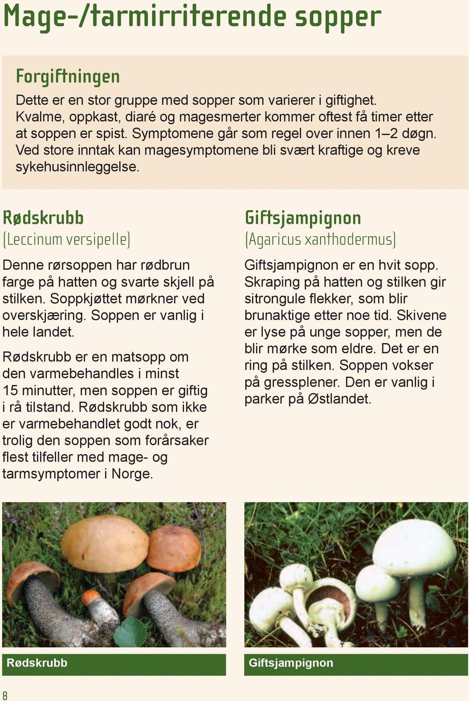 Rødskrubb (Leccinum versipelle) Denne rørsoppen har rødbrun farge på hatten og svarte skjell på stilken. Soppkjøttet mørkner ved overskjæring. Soppen er vanlig i hele landet.