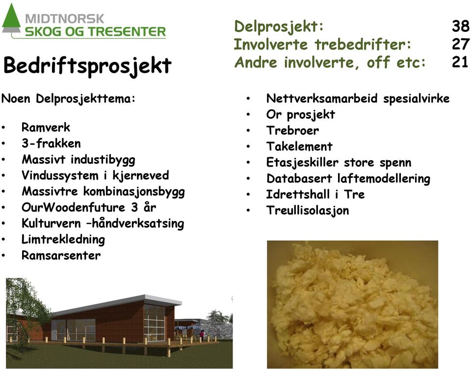 Delprosjekt: 38 Involverte trebedrifter: 27 Andre involverte, off etc: 21 Nettverksamarbeid spesialvirke Or