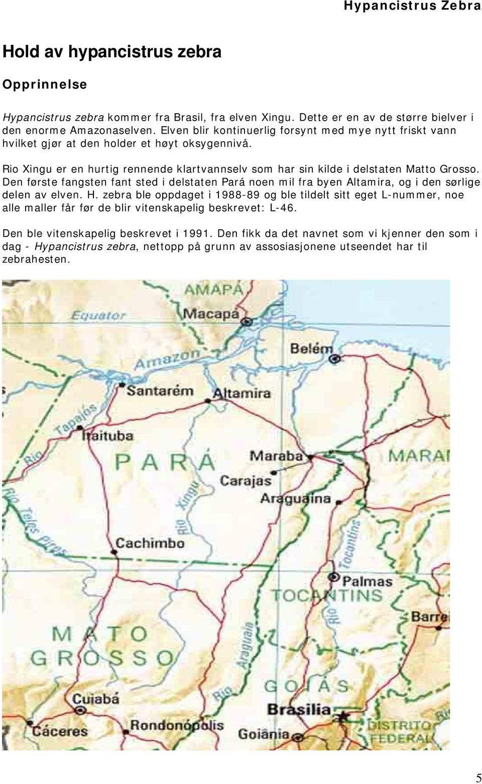 Rio Xingu er en hurtig rennende klartvannselv som har sin kilde i delstaten Matto Grosso.