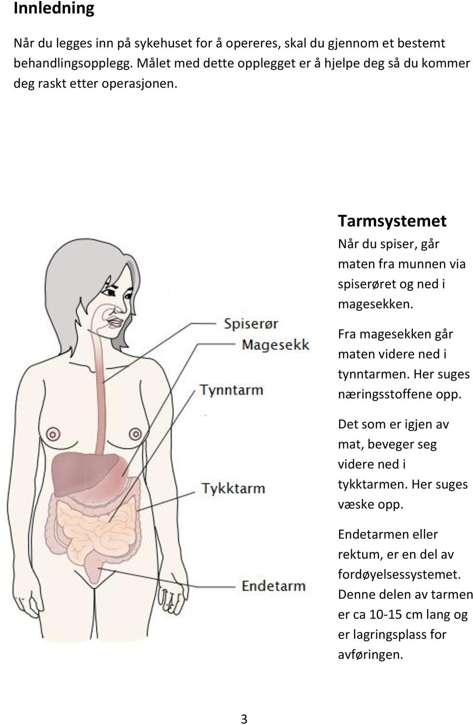 Hvor lang tid bruker maten i magesekken