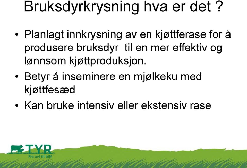 bruksdyr til en mer effektiv og lønnsom kjøttproduksjon.