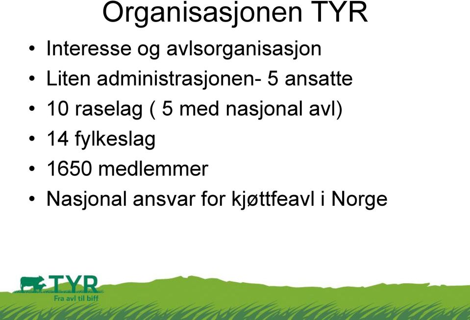 ansatte 10 raselag ( 5 med nasjonal avl) 14