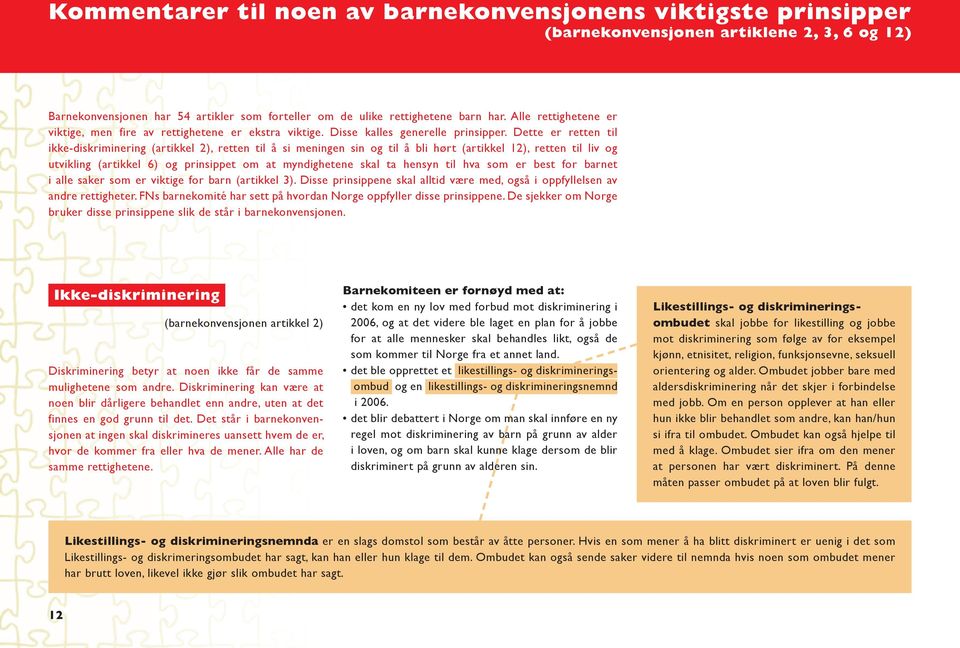 Dette er retten til ikke-diskriminering (artikkel 2), retten til å si meningen sin og til å bli hørt (artikkel 12), retten til liv og utvikling (artikkel 6) og prinsippet om at myndighetene skal ta