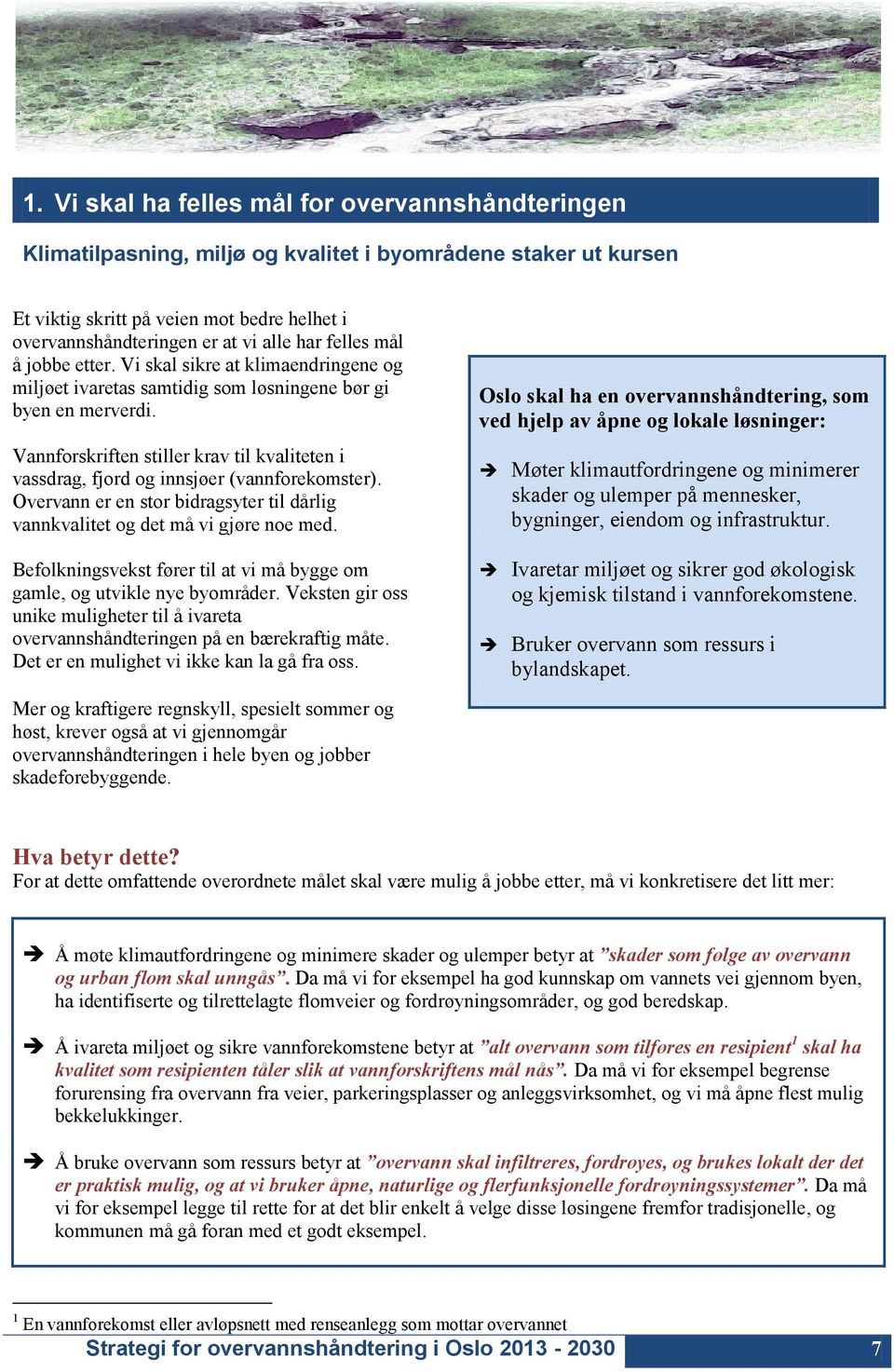 Vannforskriften stiller krav til kvaliteten i vassdrag, fjord og innsjøer (vannforekomster). Overvann er en stor bidragsyter til dårlig vannkvalitet og det må vi gjøre noe med.