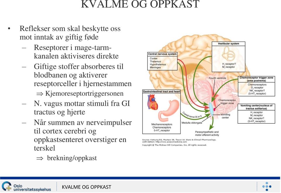 hjernestammen Kjemoreseptortriggersonen N.