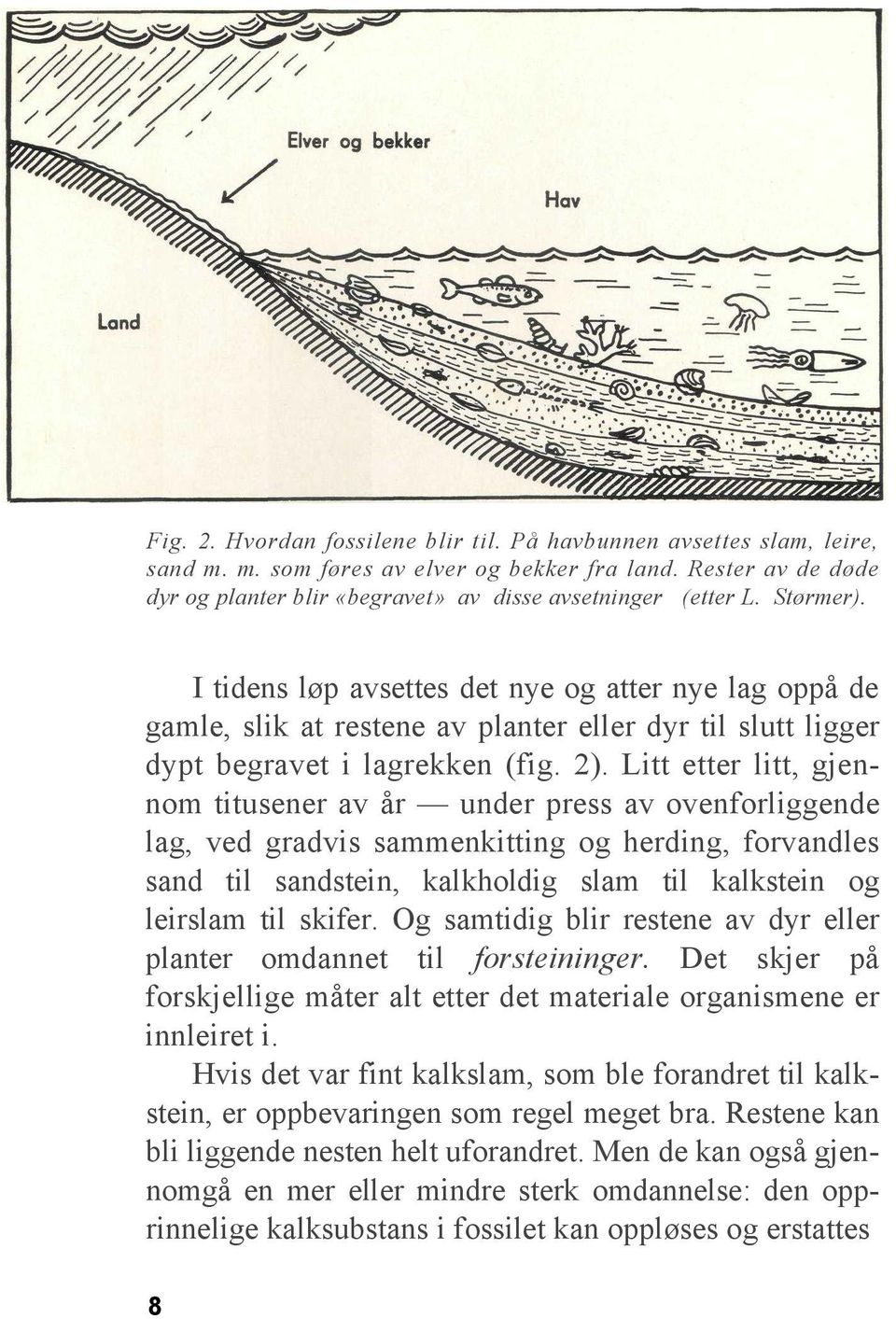 Litt etter litt, gjen nom titusener av år under press av ovenforliggende lag, ved gradvis sammenkitting og herding, forvandles sand til sandstein, kalkholdig slam til kalkstein og leirslam til skifer.