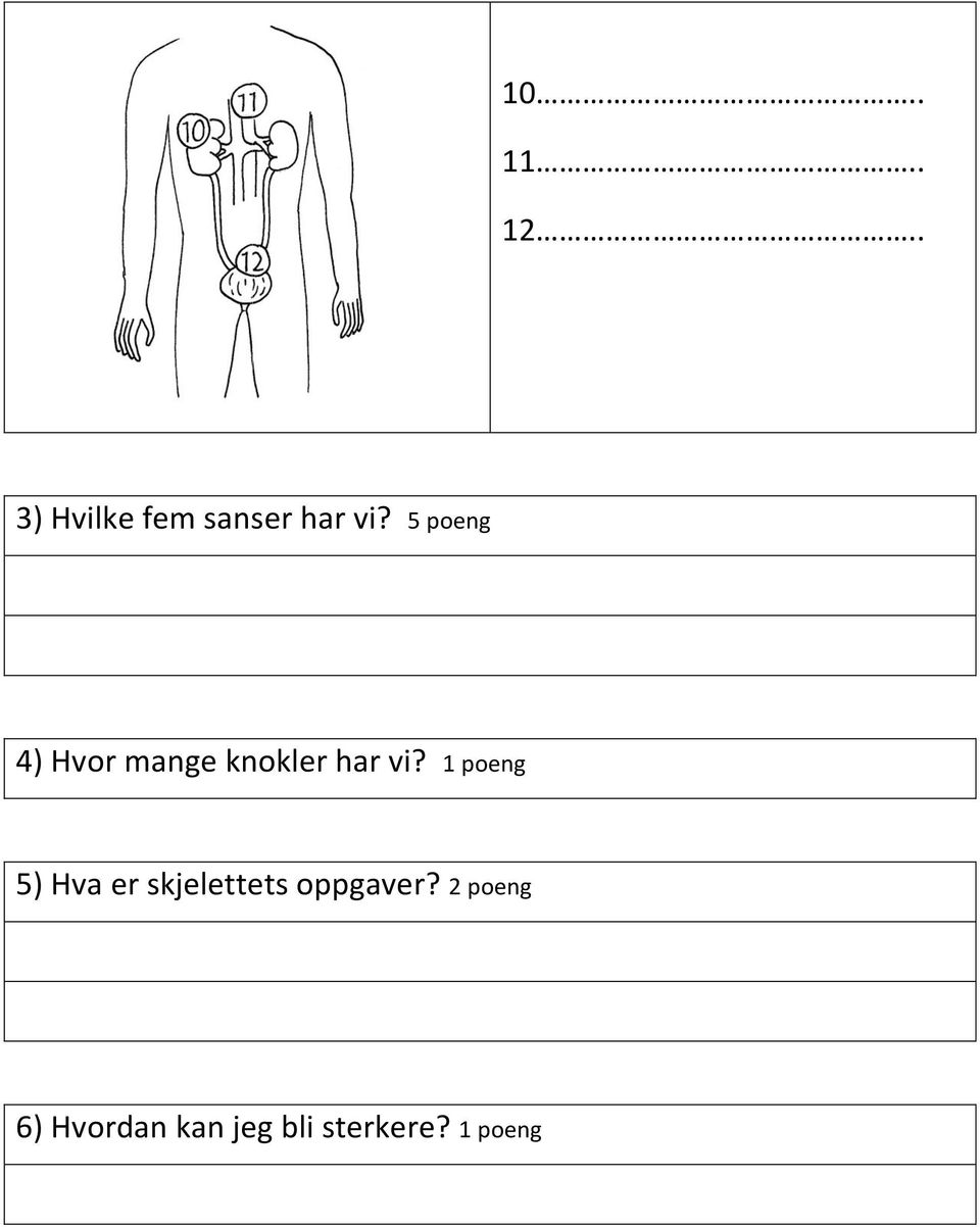 1 poeng 5) Hva er skjelettets oppgaver?