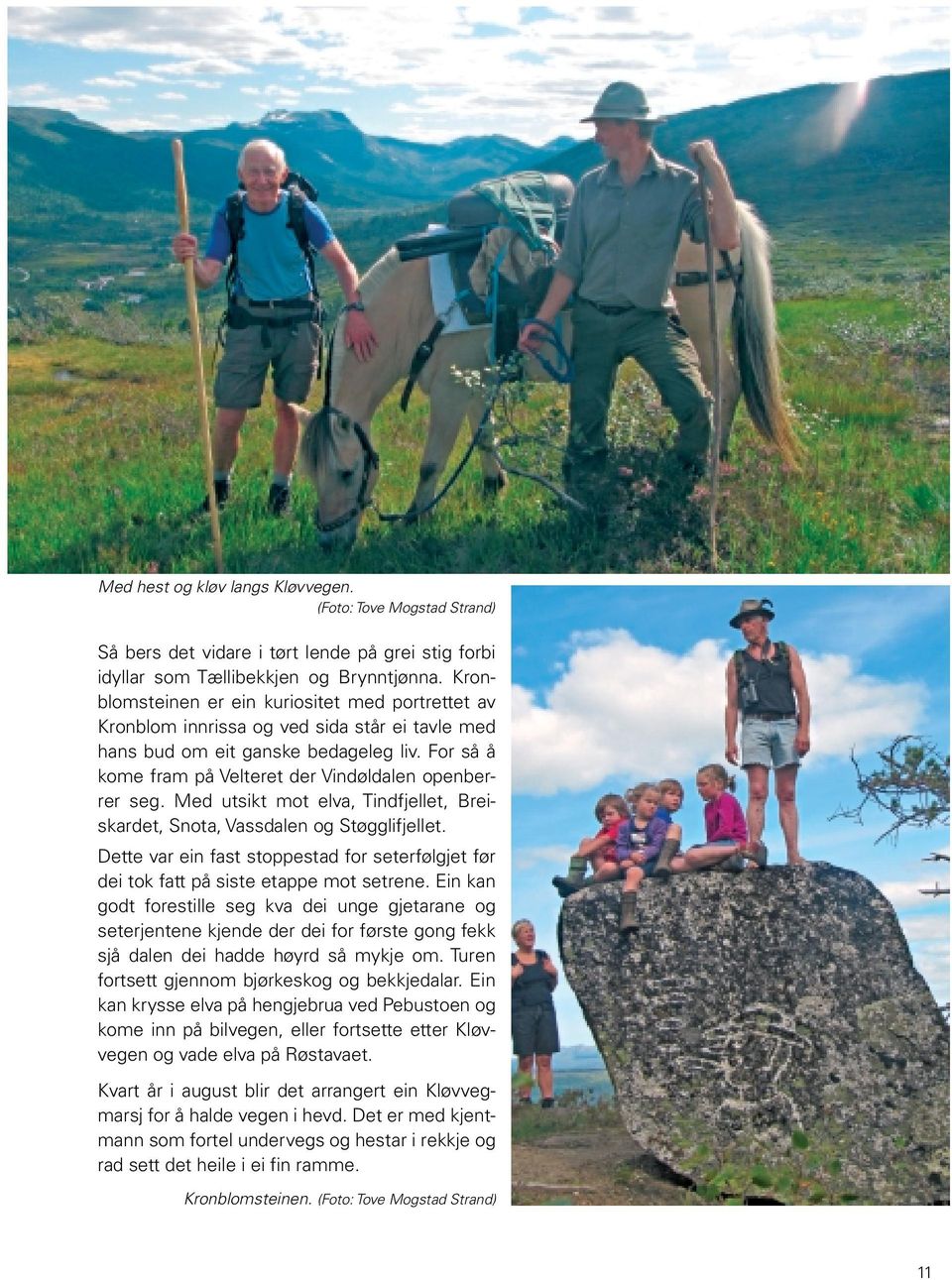 Med utsikt mot elva, Tindfjellet, Breiskardet, Snota, Vassdalen og Støgglifjellet. Dette var ein fast stoppestad for seterfølgjet før dei tok fatt på siste etappe mot setrene.