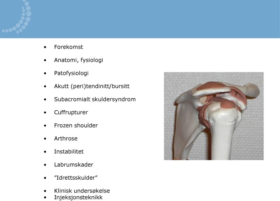 Cuffrupturer Frozen shoulder Arthrose Instabilitet