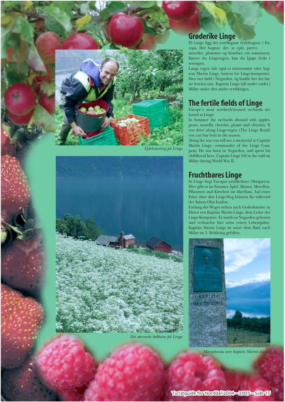 Kaptein Linge fall under raidet i Måløy under den andre verdskrigen. Eplehausting på Linge. The fertile fields of Linge Europe s most northerly-located orchards are found at Linge.